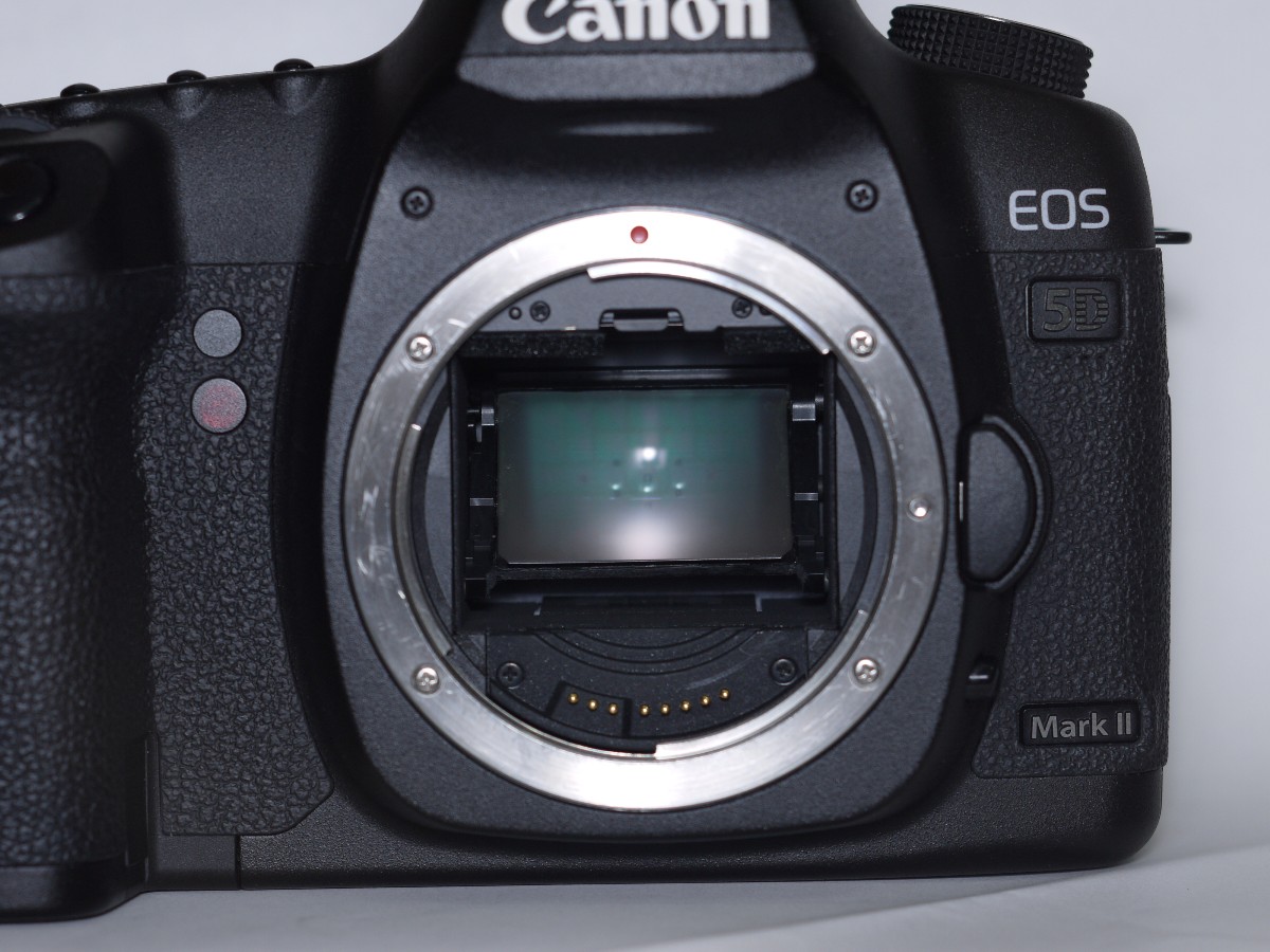 Canon EOS 5D II